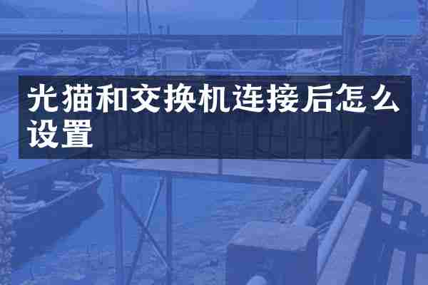 光猫和交换机连接后怎么设置