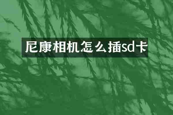 尼康相机怎么插sd卡