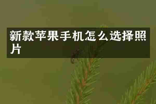 新款苹果手机怎么选择照片