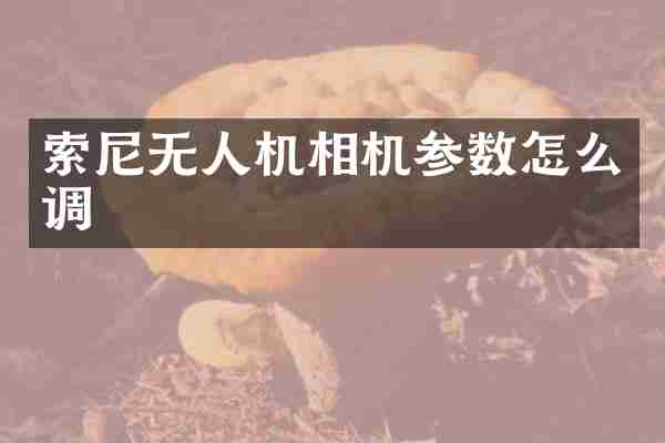 索尼无人机相机参数怎么调