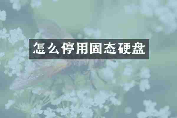 怎么停用固态硬盘