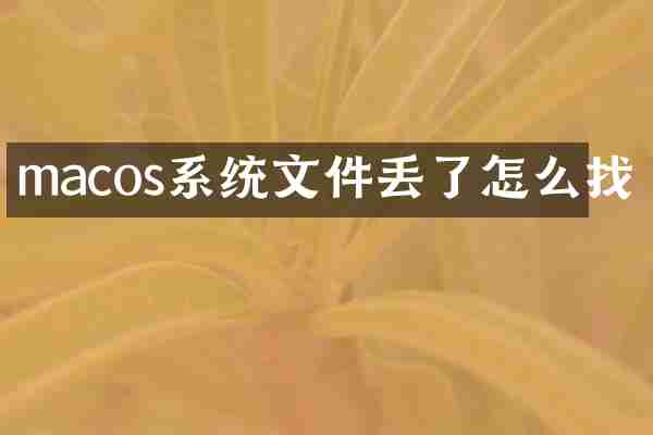 macos系统文件丢了怎么找