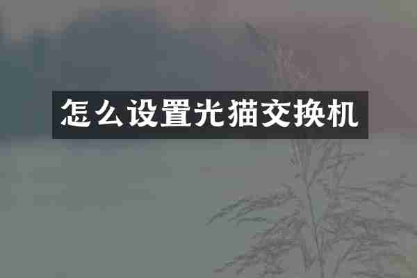 怎么设置光猫交换机