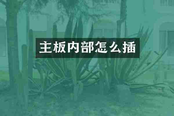 主板内部怎么插