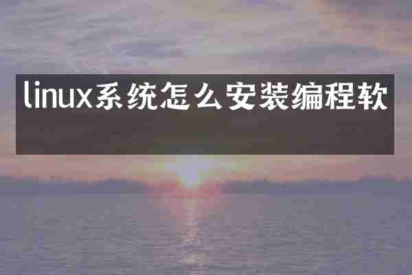 linux系统怎么安装编程软件