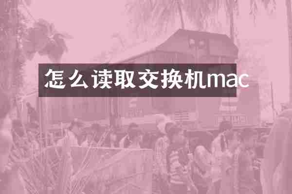 怎么读取交换机mac