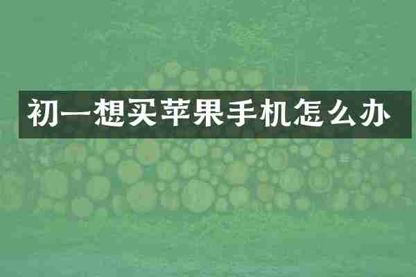 初一想买苹果手机怎么办