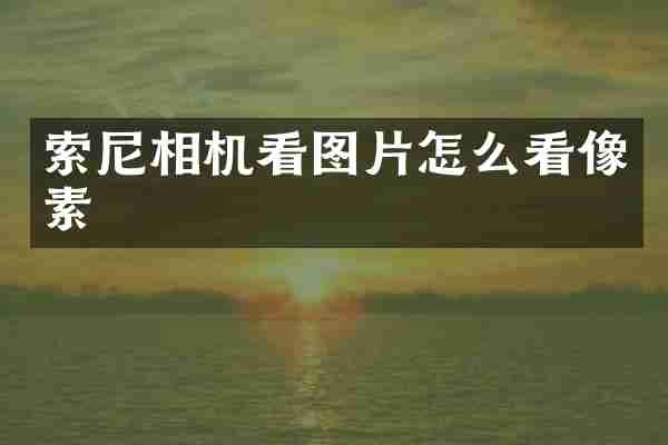 索尼相机看图片怎么看像素
