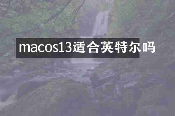 macos13适合英特尔吗