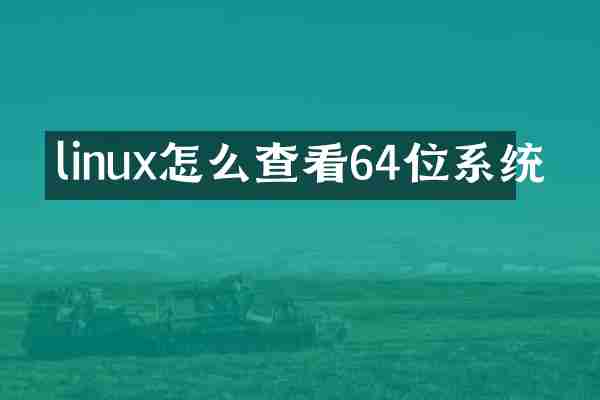 linux怎么查看64位系统