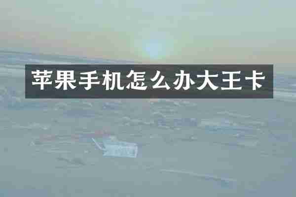 苹果手机怎么办大王卡