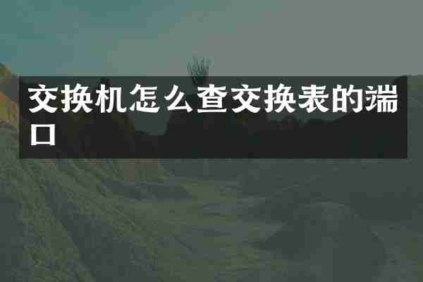 交换机怎么查交换表的端口