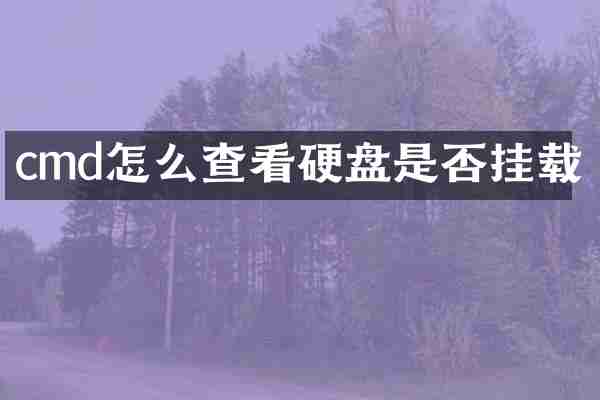 cmd怎么查看硬盘是否挂载