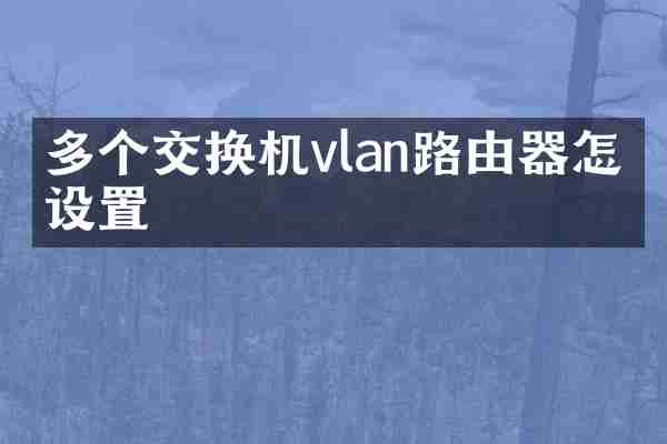 多个交换机vlan路由器怎么设置