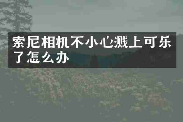 索尼相机不小心溅上可乐了怎么办