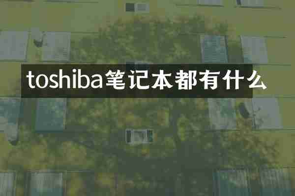 toshiba笔记本都有什么