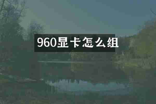 960显卡怎么组