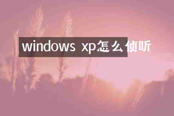 windows xp怎么侦听