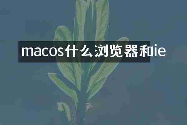 macos什么浏览器和ie