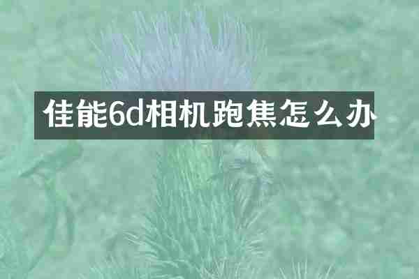 佳能6d相机跑焦怎么办