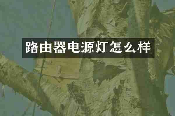 路由器电源灯怎么样