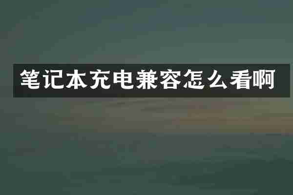 笔记本充电兼容怎么看啊