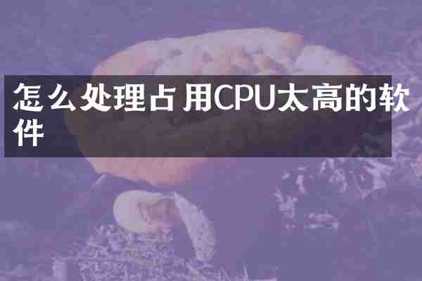 怎么处理占用CPU太高的软件