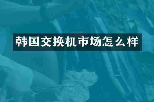 韩国交换机市场怎么样