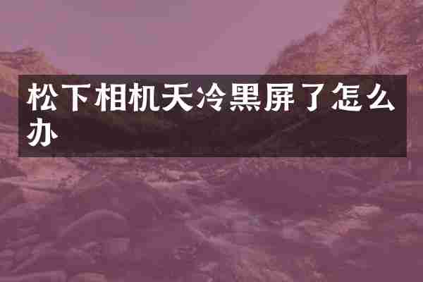 松下相机天冷黑屏了怎么办