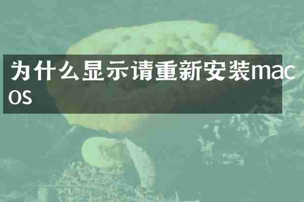 为什么显示请重新安装macos