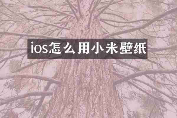 ios怎么用小米壁纸