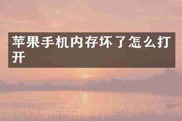 苹果手机内存坏了怎么打开