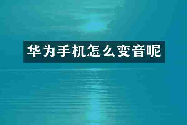 华为手机怎么变音呢