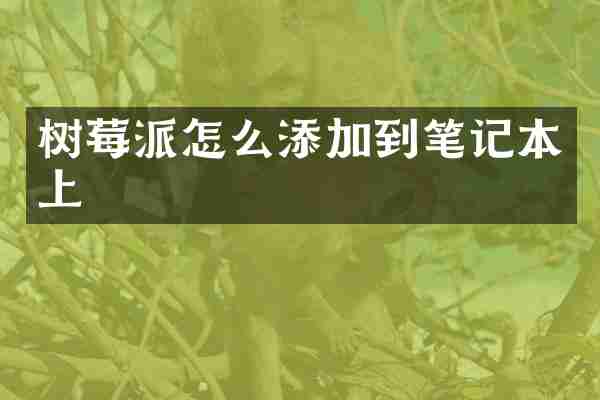 树莓派怎么添加到笔记本上