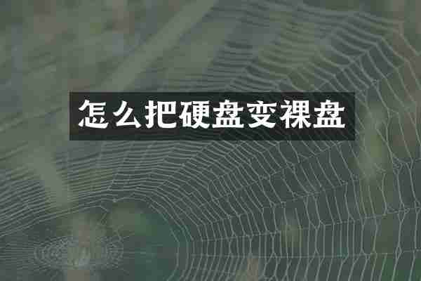 怎么把硬盘变裸盘