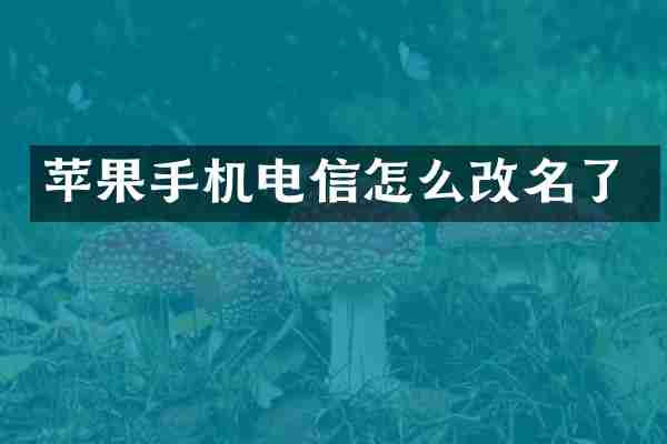苹果手机电信怎么改名了