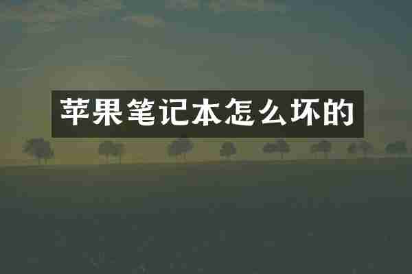 苹果笔记本怎么坏的