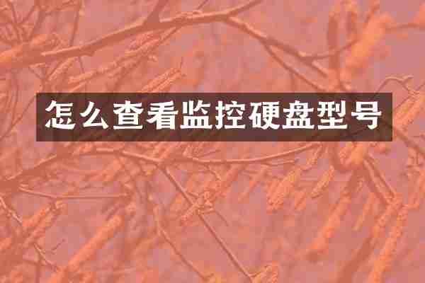 怎么查看监控硬盘型号