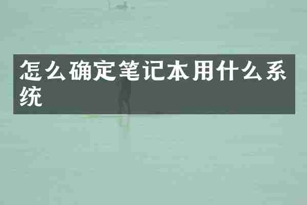 怎么确定笔记本用什么系统