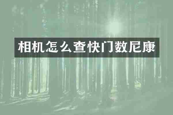 相机怎么查快门数尼康