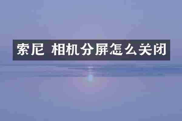 索尼 相机分屏怎么关闭
