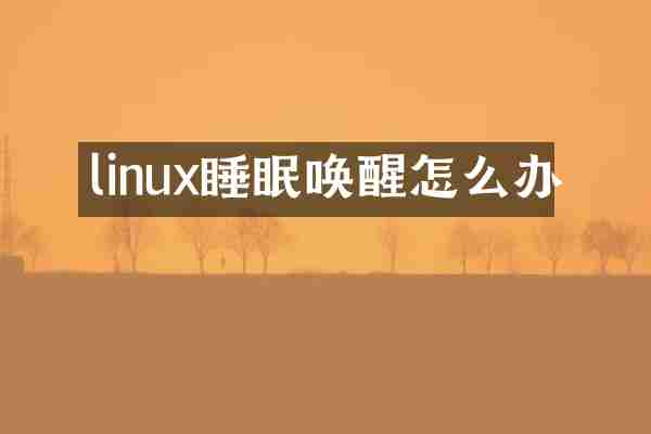 linux睡眠唤醒怎么办