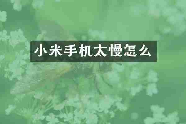 小米手机太慢怎么