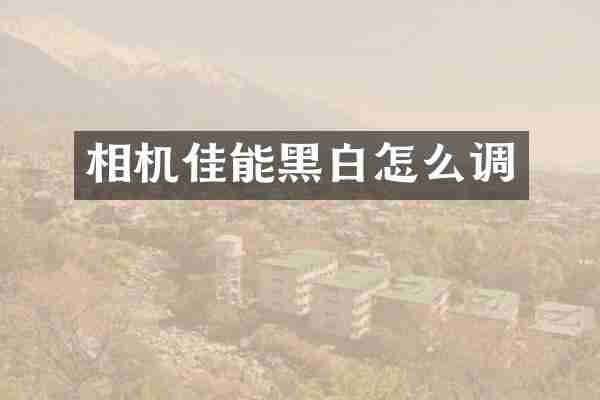 相机佳能黑白怎么调