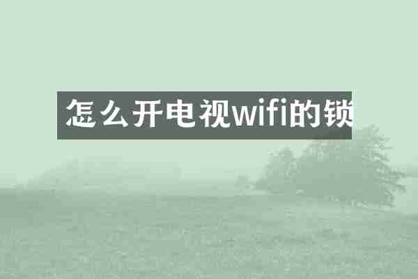 怎么开电视wifi的锁