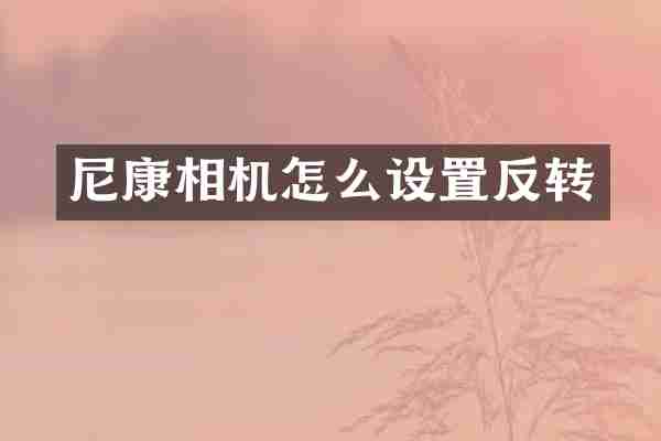尼康相机怎么设置反转