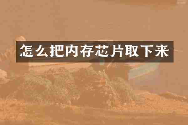 怎么把内存芯片取下来