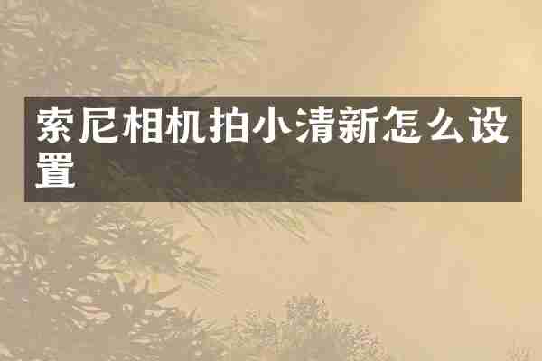 索尼相机拍小清新怎么设置