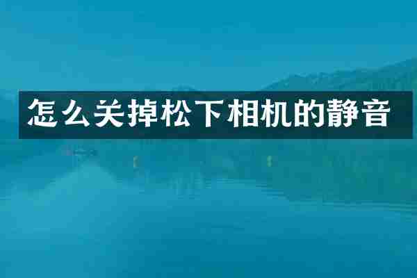 怎么关掉松下相机的静音