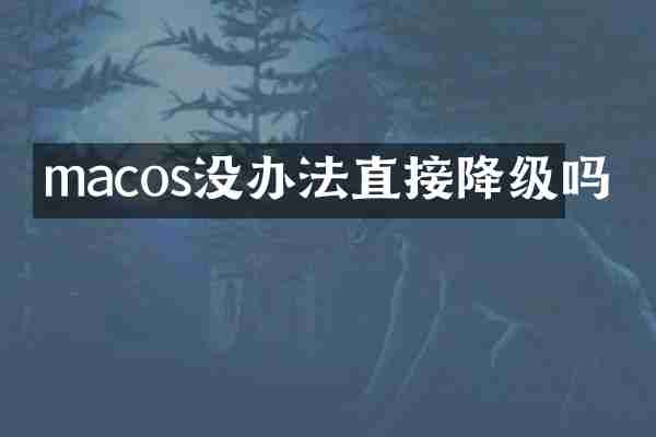 macos没办法直接降级吗